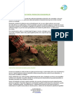 ghid_producere_rasaduri_2019.pdf