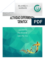 Actividad Experimental Genetica - biologia