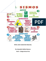 Afiche sobre Catástrofes Naturales