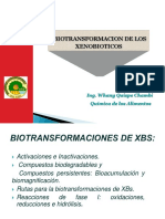 Sustancias Toxicas (Metabolismo)