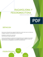 Paraganglioma y Feocromocitona