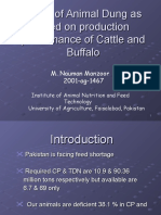 Effect of Animal Dung As Feed On Production Performance of Cattle and Buffalo (By M. Nauman Manzoor)