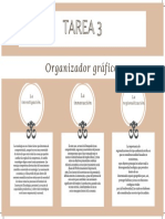 Organizador Gráfico.