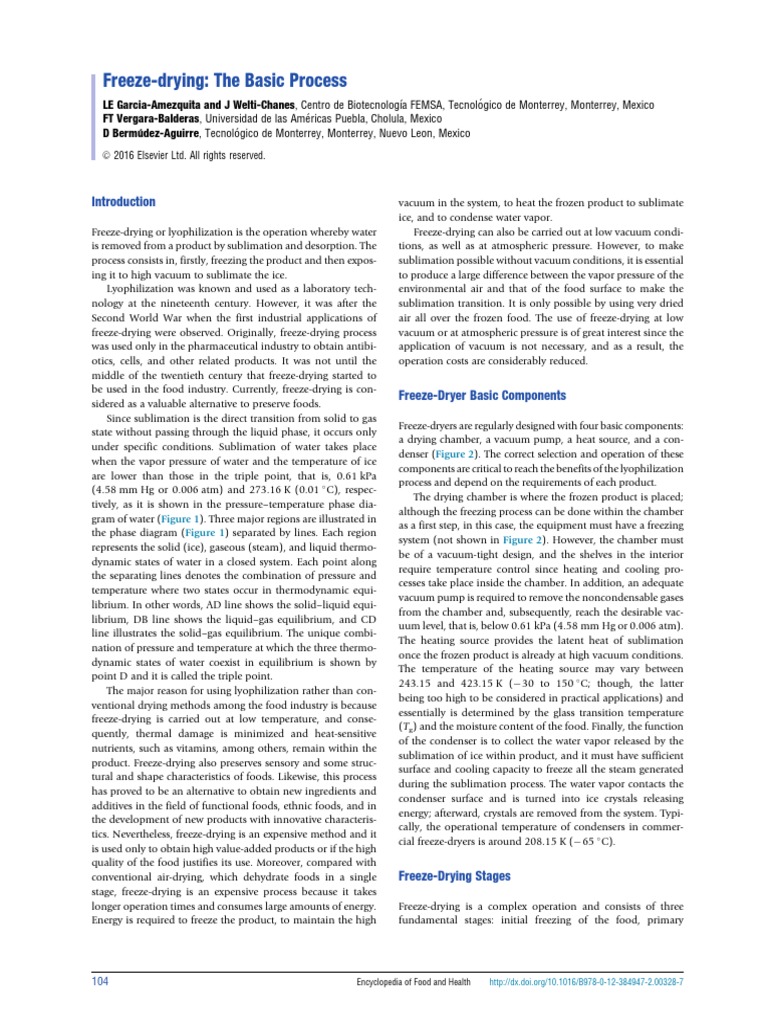 Understanding Freeze-Drying Process | PDF | Freeze Drying | Heat