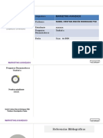 Plantilla Desarrollo Actividades