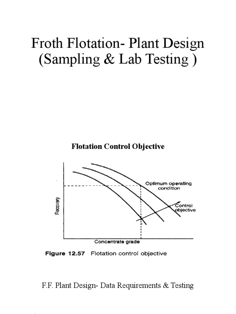 Froth Flotation Plant Design Guide | PDF | Chemistry | Industrial Processes