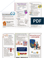 Leaflet KB.pdf