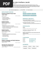 Carlos Iván Arellano Jacob: Employment History Skills