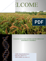 Genetic diversity in finger millet germplasms