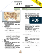 The Ear: Lectured By: Dr. Eduardo Gonzales Transcribed By: Gio Paulo C. Pineda Proofread By: Kaye Reyes