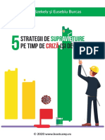 5strategiidesupravietuirepetimpdecriza PDF