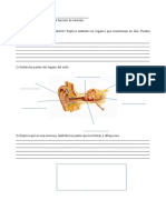 Examen Naturales 6º Tema 2