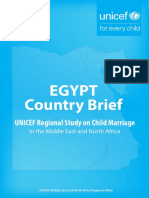 MENA CMReport EgyptBrief PDF