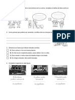 Estudo_Meio_revisões.pdf