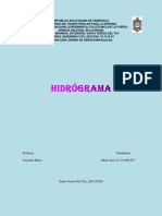 hidrograma crte III