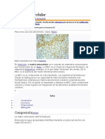 Matriz Extracelular