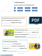 Identifying Animals' Teeth Worksheet 2: Incisors Cow Omnivore Bear Tear Herbivore Tiger Carnivore Cut Canines