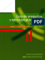 GuiaPreguntas PDF