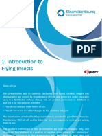 Introduction To Flying Insects