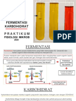 Fermentasi Karbohidrat