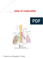 Regulation of Respiration PDF