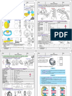 Roulement MGP 1