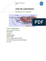 Laboratorio 8, Vallejos