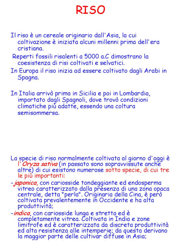 Riso PDF | PDF