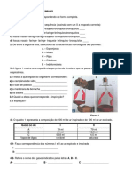 Ficha-Trabalho-Sistema-RespiratÃ³rio