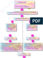 Mapa Conceptual Racemi