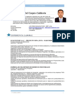 CV Del Carpio Diego Rev 005 PDF