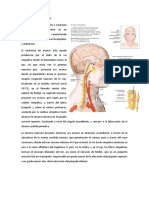 6 Sindrome de Horner