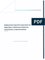 SSO_Reglamento Especial RECSS.pdf