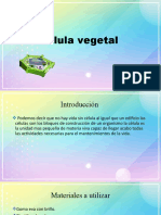 Celula Vegetal 1