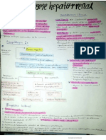 Sindrome Hepatorrenal