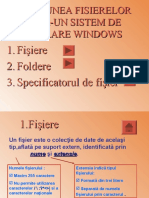 0gestiunea Fisierelor Intr-Un Sistem de Operare Windows - Pps