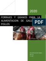 Forrajes y Granos para La Alimentación de Las Gallinas