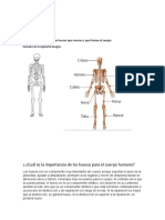 Taller de Ciencias Naturales