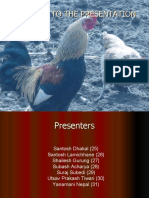 Economic Traits of Poultry