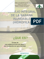 MANEJO INTEGRAL DE LA SABANA INUNDABLE (HIDROFILA)