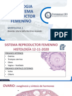 Sistema Reproductivo Femenino - Histologia