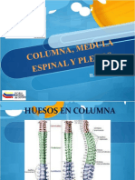 COLUMNA_Y_MEDULA_ESPINAL.ppt(2)