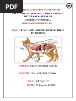 Reflejo Tusigeno | PDF | Tos | Enfermedades y trastornos