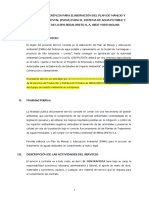 TDR-PAMA SEDALORETO.docx