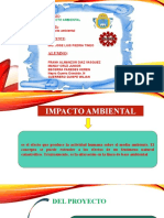 Diapositrivas Ambiental 1