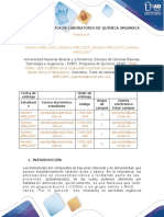 Anexo 5.2-Formato Informes - Química Orgánica