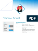 Filomeno Amaral: Ability Working Experience
