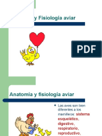 Anatomía y Fisiología Aviar