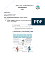 Ciencias Naturales 3 Fisiología Humana