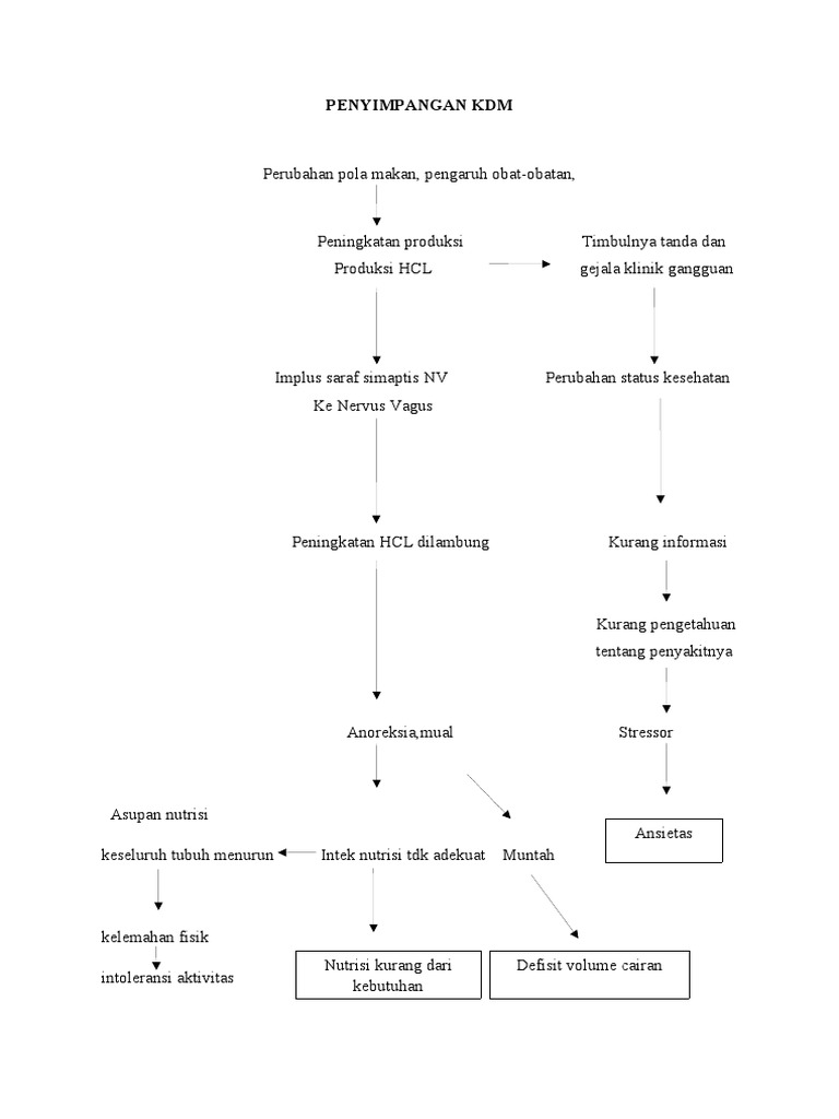 Penyimpangan KDM | PDF